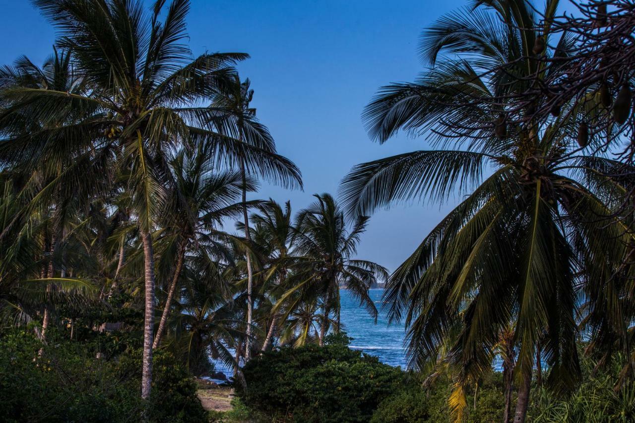 Msambweni Beach House Villa Ngoại thất bức ảnh