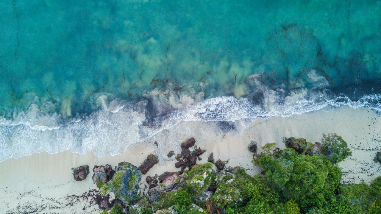 Msambweni Beach House Villa Ngoại thất bức ảnh